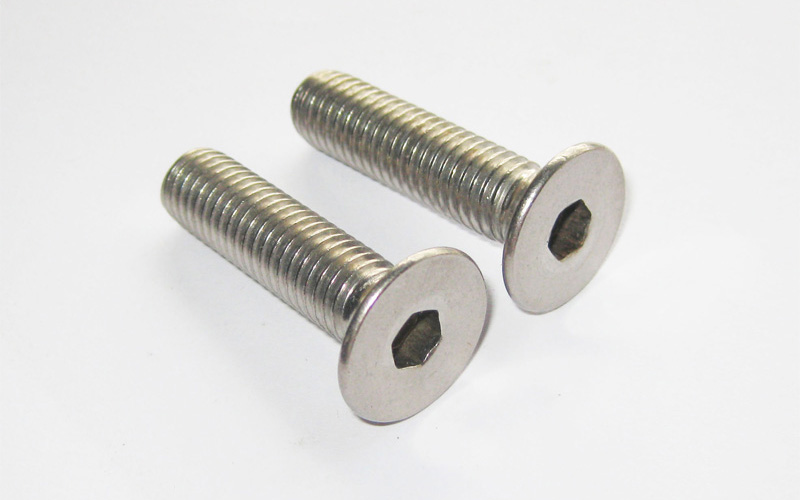 bulong-luc-giac-chim-dau-bang